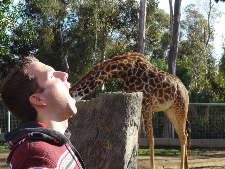 Fotografía ilusión óptica, jirafa adentro de la boca de un hombre