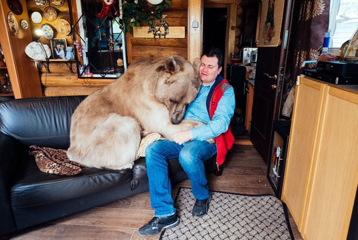 oso sentado en sofá con hombre