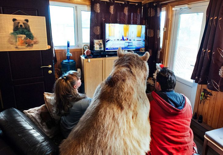 oso viendo televisión