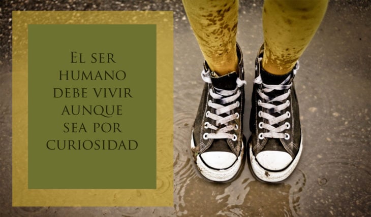 Proverbio judío - El ser humano debe vivir aunque sea por curiosidad