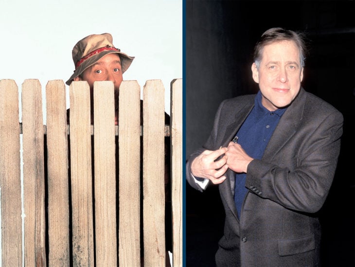 Home Improvement- Earl-Hindman interpretaba a Willson