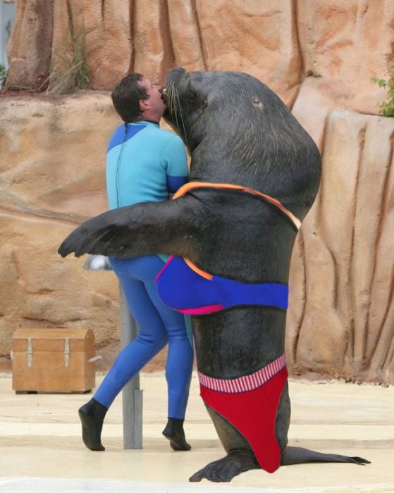 hombre dandole un beso a una foca completamente temeroso