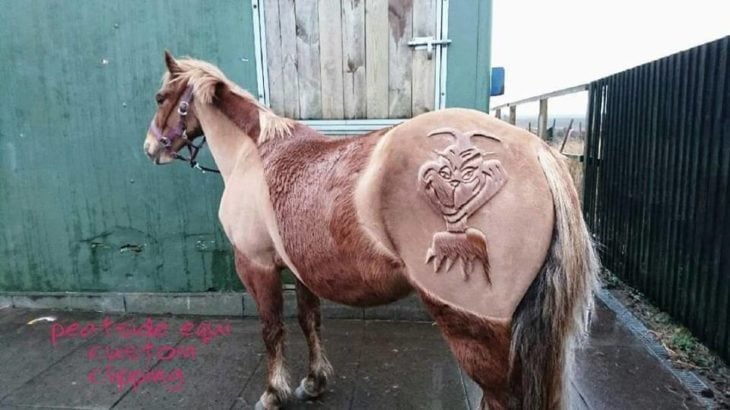 14 Cortes de pelo para caballo más fashionistas