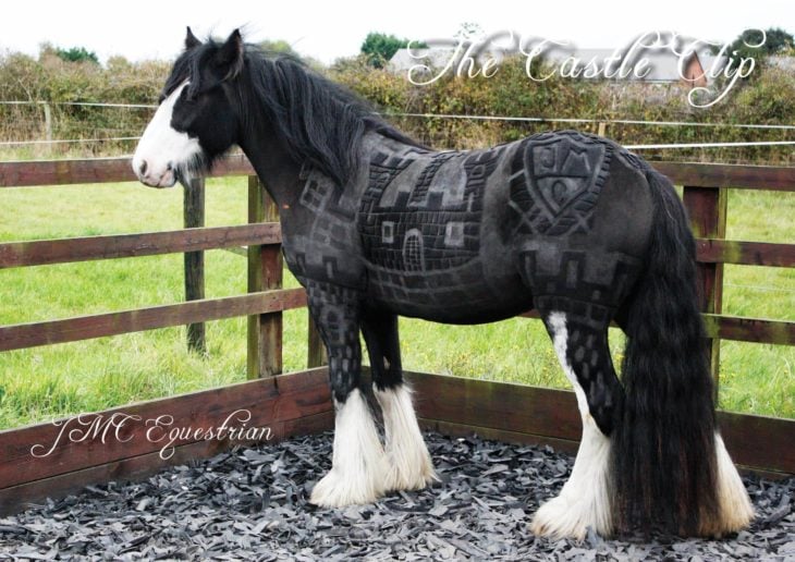 caballo con un paisaje tatuado ensu pelaje