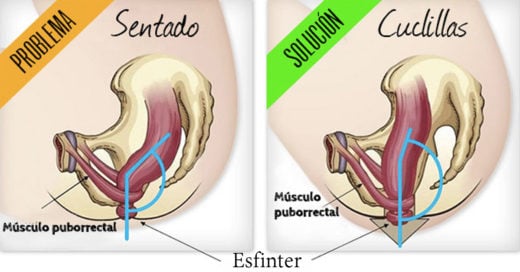 La manera perfecta de ir al baño