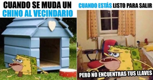 Los mejores memes de Bob Esponja Cabernicola