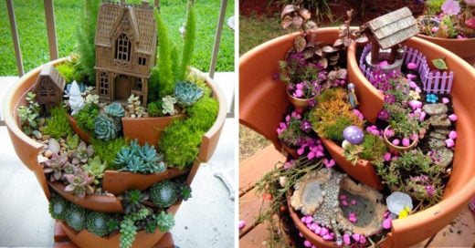 Minijardines en macetas la nueva tendencia