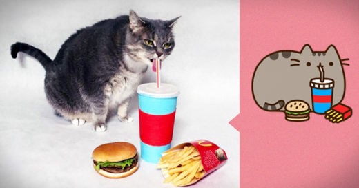 Recreó todos los Emojis de los gatitos pusheen