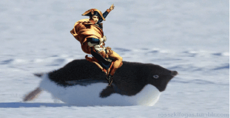 Napoleón montando pinguino