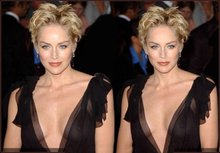 Famosa_SharonStone