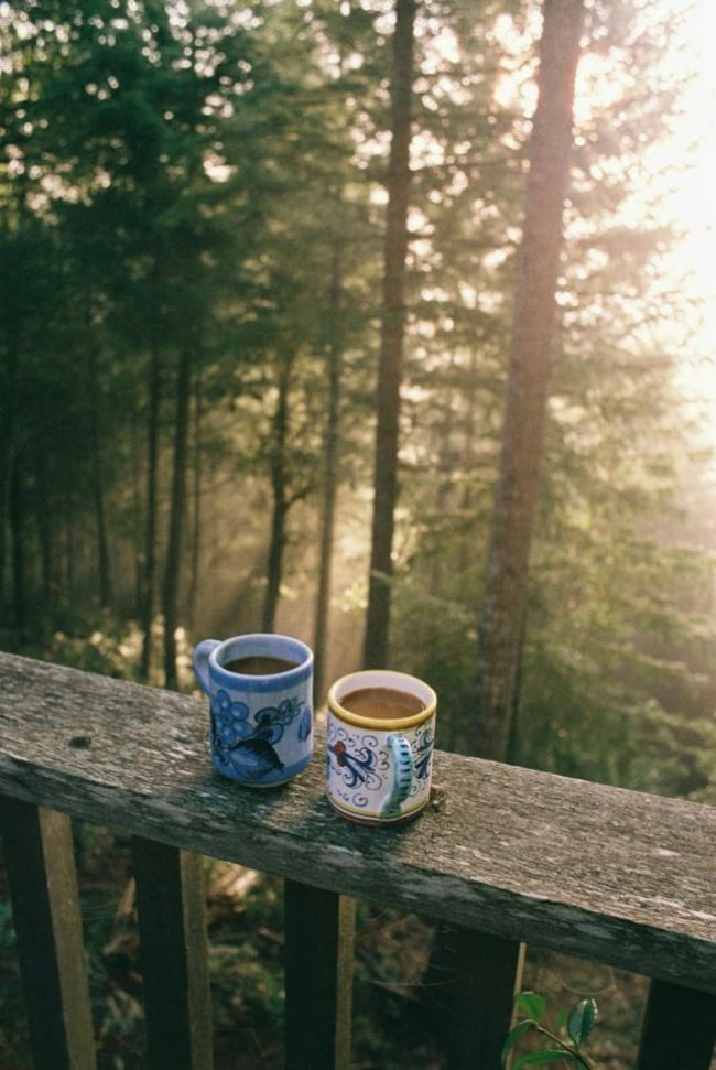 Par de tazas de chocolate en balcón de bosque