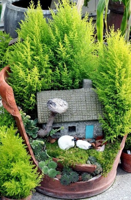 jardín miniatura de maceta rota 16