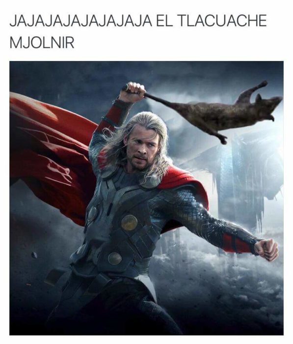MEME TLACUCHE MARTILLO DE THOR