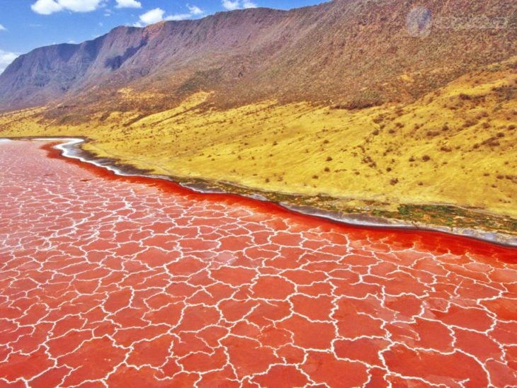 Lago naranja en campo