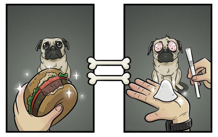 Hamburguesa un manjar para perros