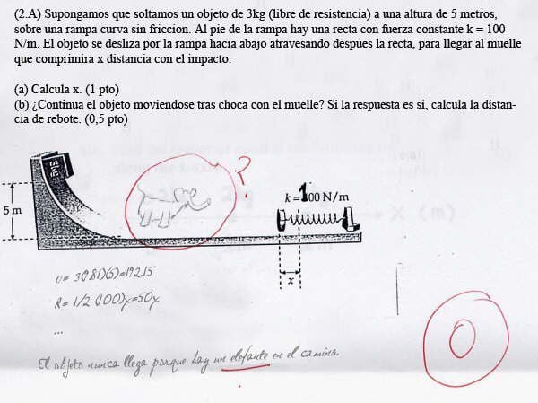 Elefante dibujado en examén