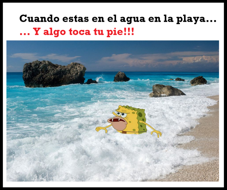 Meme de bob esponja cavernícola 5