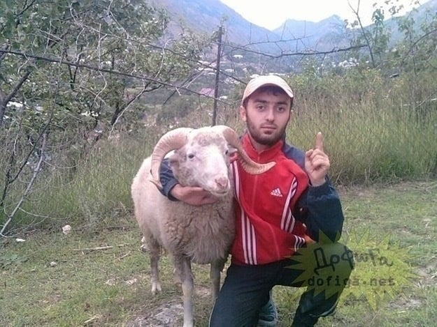 Chico abrazando oveja 