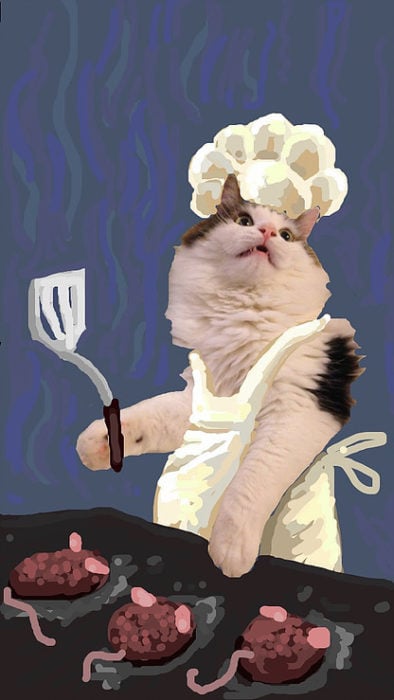 snapchat gato cocinando ratones