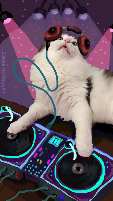 snapchat gato dj