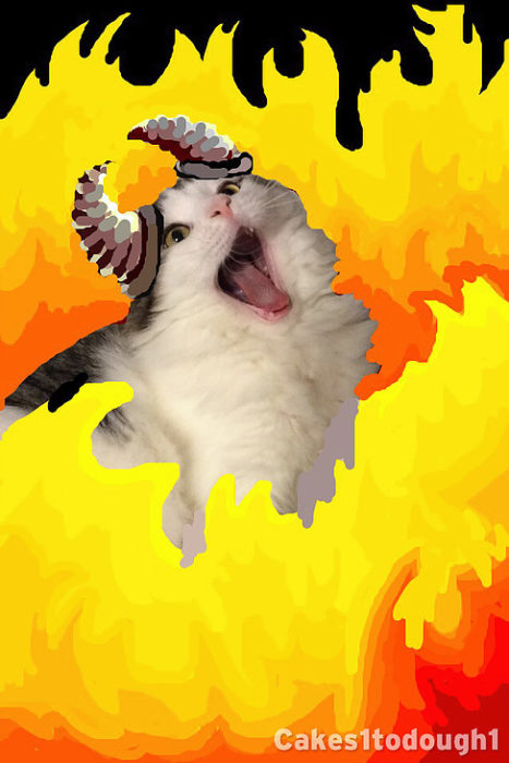 snapchat gato en el infierno