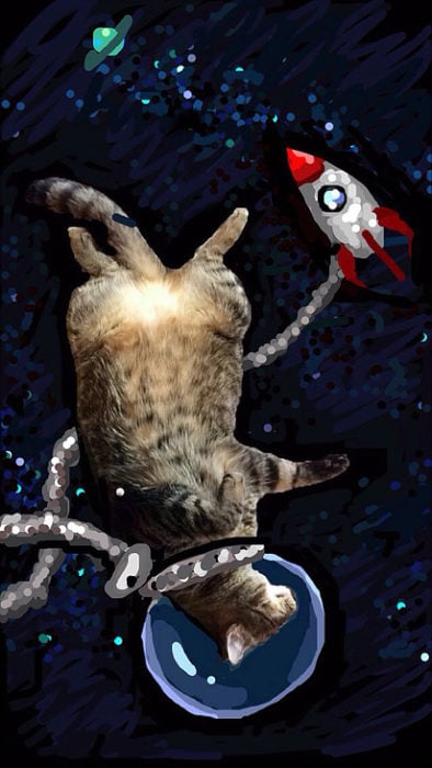 snapchat gato en el espacio