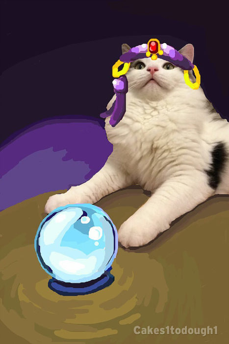 snapchat de gato con bola de cristal