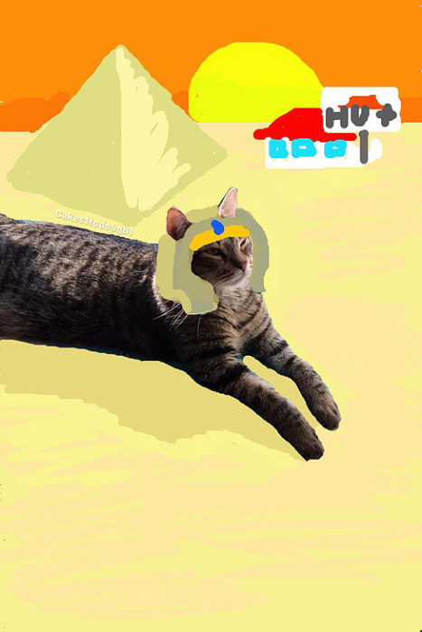 snapchat de gato esfinge de giza