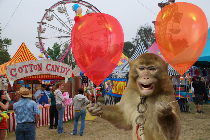 mono sosteniendo un par de globos en parque de diversiones