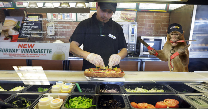 mono sosteniendo dagas en subway