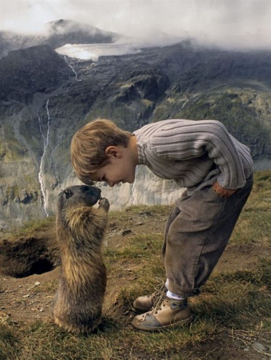 Niño inclinándose hacia nutria