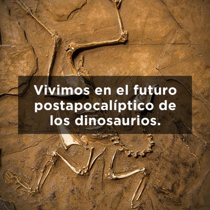 ESQUELETO DE DINOSAURIO EN LA TIERRA