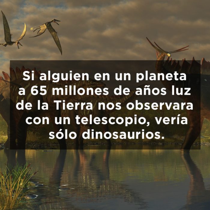 MUNDO DE DINOSÁURIO