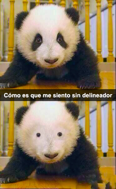 panda con y sin manchas negras en los ojos