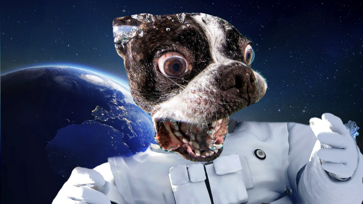 Photoshop. Astronauta con cara de un perro