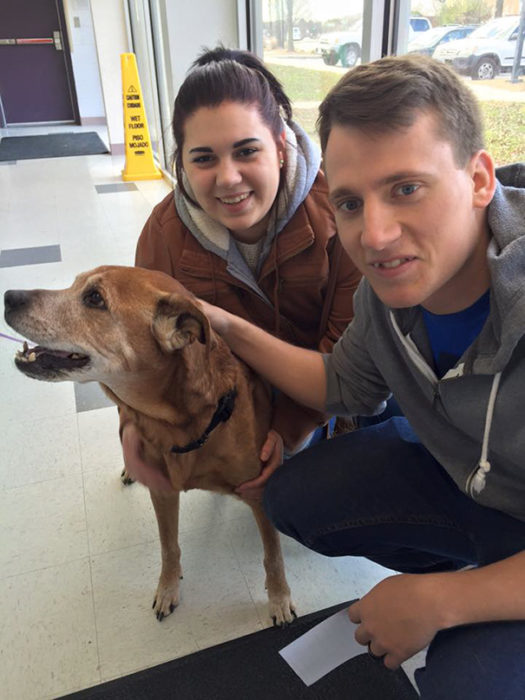 Pareja adopta a perro de 17 años