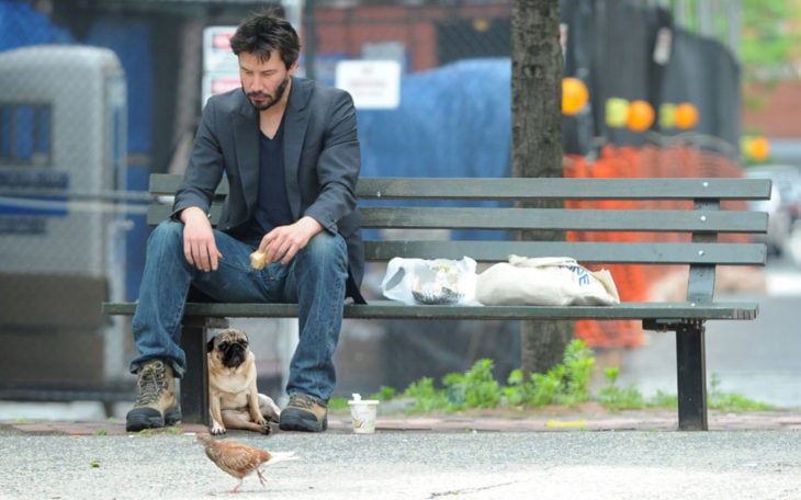 pug triste y keanu reeves photoshop