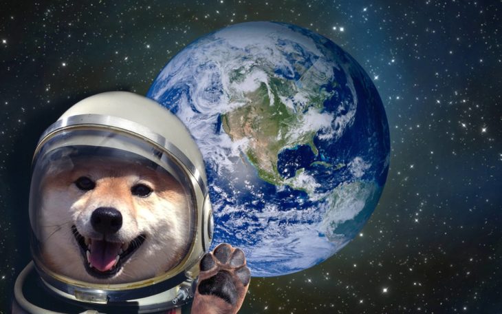 perro con traje de astronauta en el espacio exterior