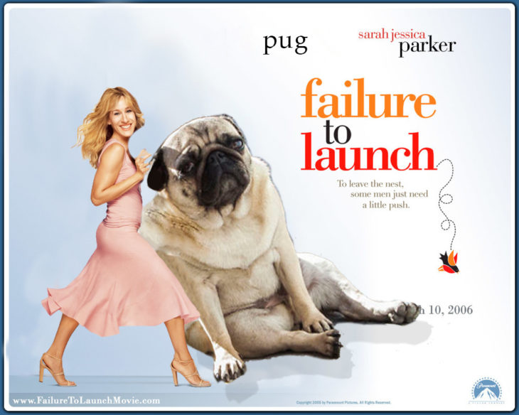 Photoshop pug triste en cartel de película romántica