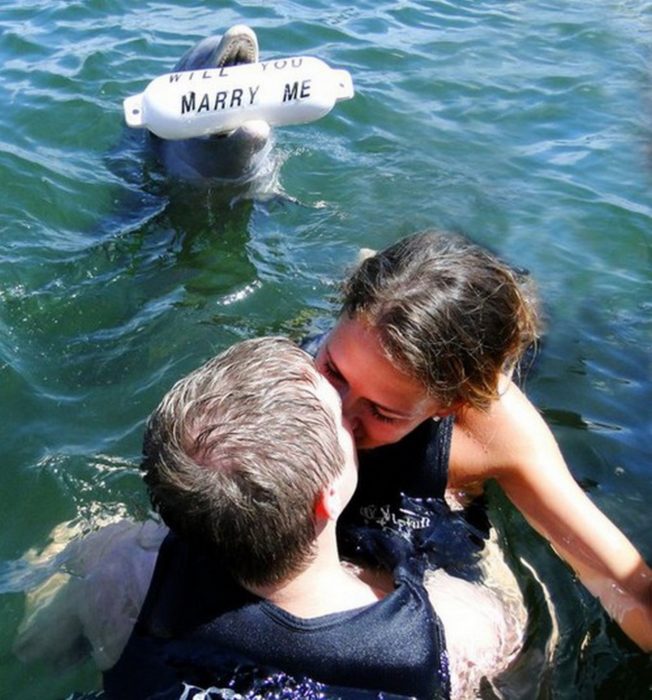 Propuesta, una pareja con un delfín y el delfín trae una cosa en la boca que dice will you marry me?