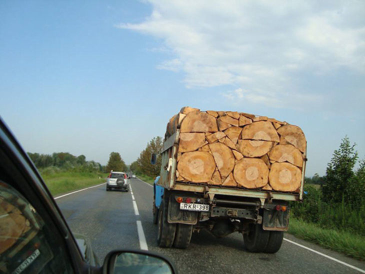 madera cortada a la perfección 