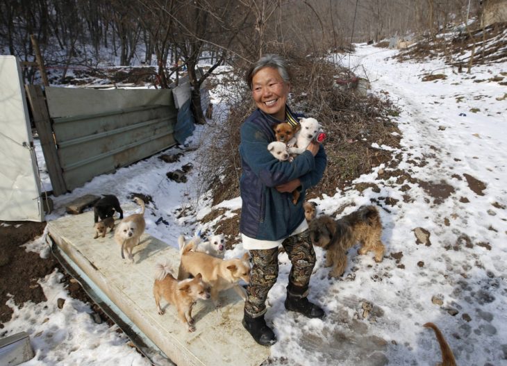 mujer con perros rescatados