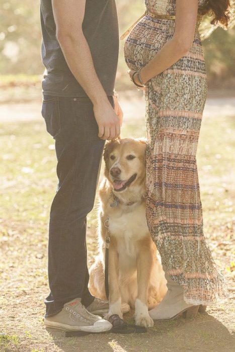 perrito con pareja embarazada