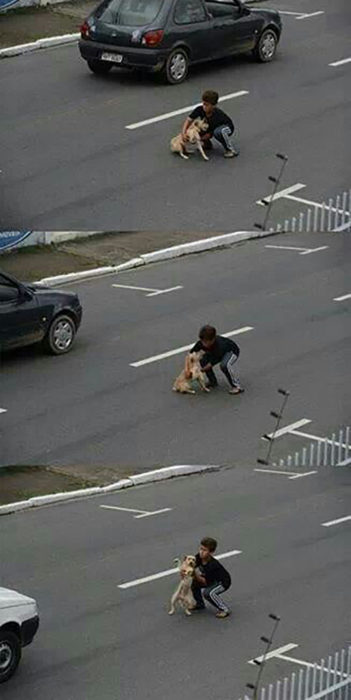 niño ayuda a un perro atropellado