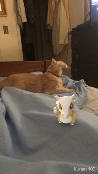Un pokemón en tu cama al lado de tu gato