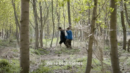 amigos con discapacidad en un bosque
