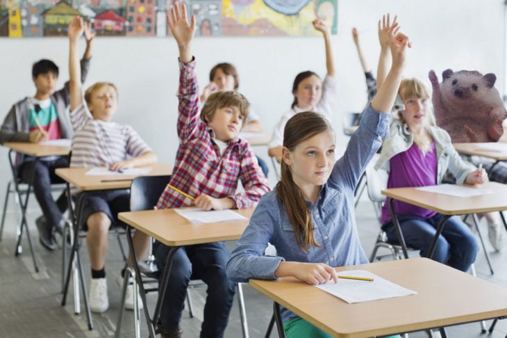 niños en clase y erizo levantan la mano