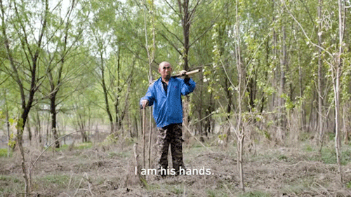 hombre sin manos y hombre ciego en bosque