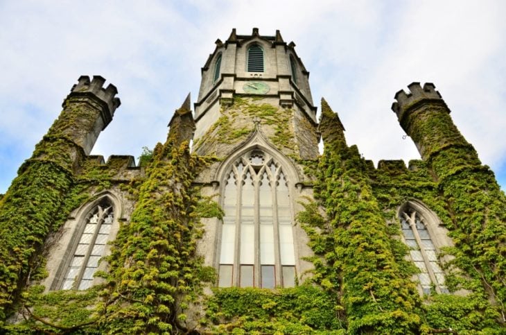 hermoso castillo cubierto de plantas