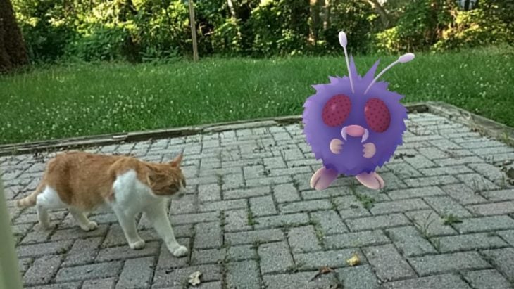 Un pokemón en el jardin mientras tu gato pasea